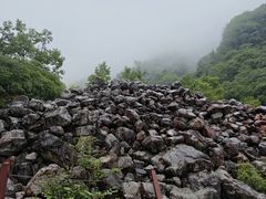 -陕西省红河谷森林公园