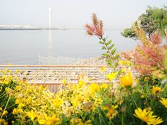 -上海吴淞炮台湾国家湿地公园