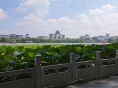 -莲花池公园