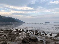 -北岐滩涂