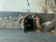 -无锡动物园·太湖欢乐园