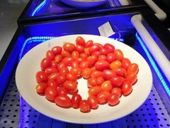 -昆山裕元花园酒店·温莎西餐厅