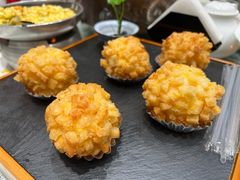 -丁老爷子苏香圆