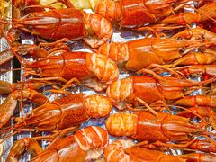 -袁老大龙虾(石鼓路总店)