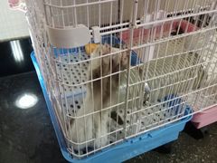 -八角锄烧·肉火锅(天河城店)
