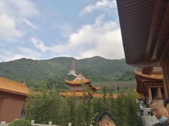 -深圳仙湖植物园-停车场
