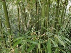 -菊花台公园