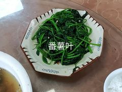 -幽优农庄·森波拉特色本地农家菜