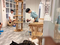 -楼上猫咖(罗湖店)
