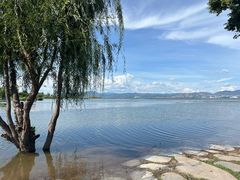 -洱海月湿地公园