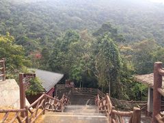 -海南热带雨林国家公园吊罗山景区
