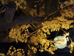 -章丘宴(唐人中心店)