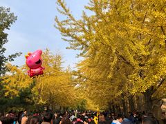 -辽宁大学(崇山校区)