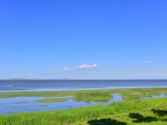 -呼兰河口湿地公园