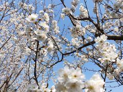 -三峡国际房车露营地(G348店)