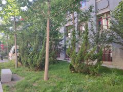 -中国中医科学院西苑医院(本部)