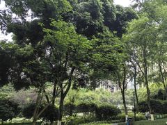 -龙头寺公园