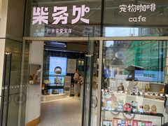 门面-柴务处·柴犬主题狗咖
