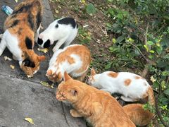 -敬亭山风景名胜区