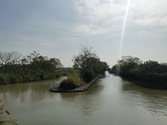 -大湾区中央湿地公园
