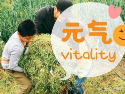-麦粒鸟亲子游