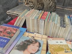-正阳书局(西四南大街店)