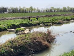 -洨河生态公园