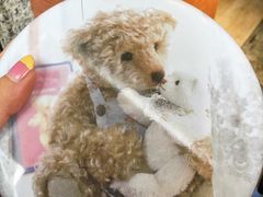 -珍妮曲奇聪明小熊(尖沙咀店)