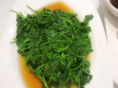 -阿巧一号私房菜(止园路店)