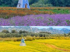 -野鸭湖国家湿地公园