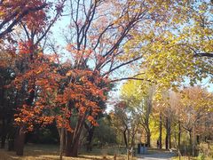 -国家植物园南园