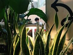 -Seesaw Coffee(上海太阳宫K46店)
