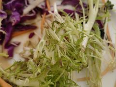 -北京临空智选假日酒店