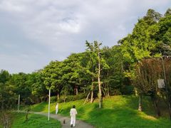 -白鹭湾湿地公园