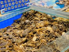 -万象·复兴号鲜肉烤肉海鲜自助(升级店)