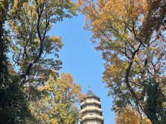 -灵谷景区