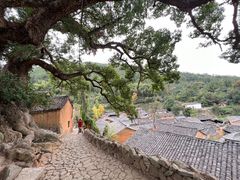 -杨家堂村