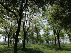 -上海山野camping·户外天幕烧烤·团建拓展营地