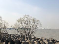 -上海滨江森林公园