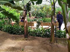 -兰陵国家农业公园