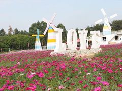 -松山湖梦幻百花洲