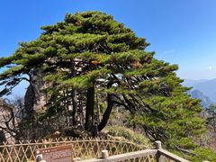 -黄山风景区