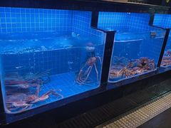 -青蓬蒸汽海鲜·深圳老字号·团建聚会(壹方城店)