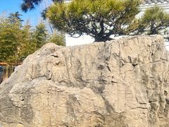 -观唐（国际）度假村温泉