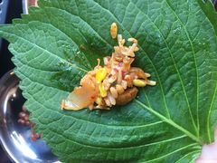 -青松大叔的店(东财店)