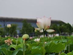-南京医科大学(江宁校区)