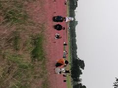 -汉长安城未央宫国家考古遗址公园