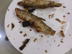 -微山岛春天里酒家