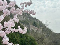 -响堂山石窟-北响堂山石窟