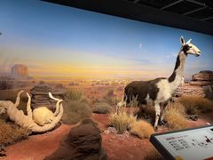 -陕西自然博物馆